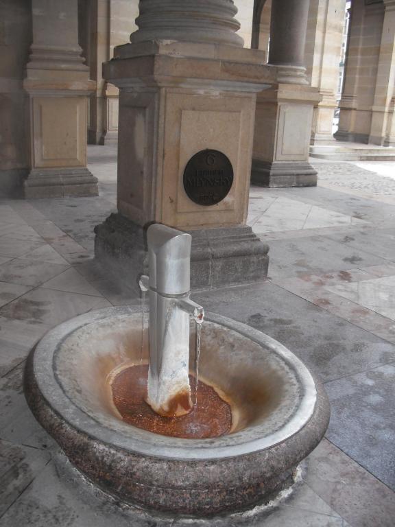 Vila Anton Karlovy Vary Kültér fotó